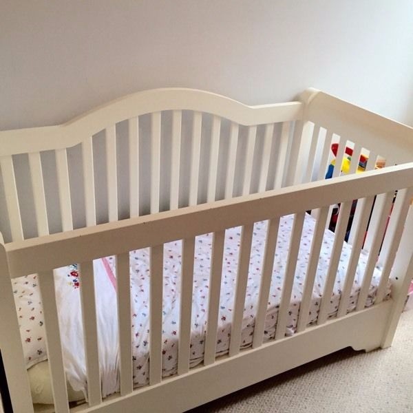 dreams cot bed